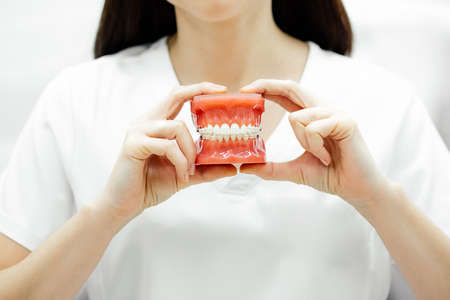 Young unrecognizable woman doctor dentist orthodontist with black hair in white medical clothes holding tooth model with wire braces attached in two hands. Dental care, medical, oral hygiene concept.の写真素材