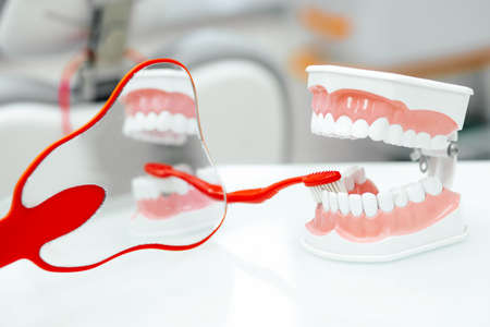 Closeup of denture with white artificial teeth and red toothbrush showing how to brush teeth lying on table possibly in dentist's office. Hygienist concept of healthy and beautiful smileの写真素材