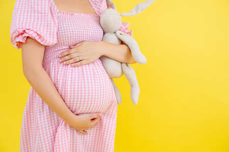 Cropped photo of pregnant woman wearing pink, white gingham dress holding toy rabbit, holding belly with hands..の写真素材
