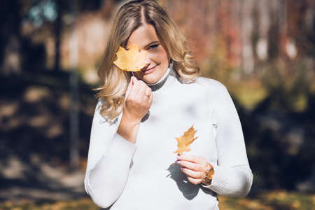 Autumn time. Smiling blonde playfully covers her face with golden maple leaf, posing for...