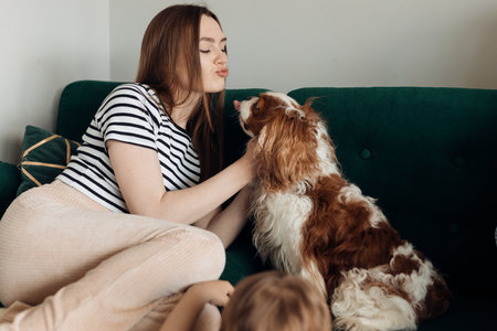 Cute cheerful young woman, owner sitting on sofa, kissing and playing with coker spaniel at home. Relax weekend, familyの写真素材