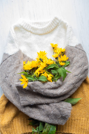 Bouquet of yellow daisies wrapping in warm knitted sweater. Fresh wildflowers in full bloom. Seasonal floral composition for home decor. Bunch of colorful flowers lying on floor. Natural beautyの写真素材