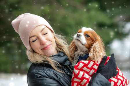 Portrait of middle-aged woman holding dog pet spaniel covered with blanket, standing in park forest in snowy winter.の写真素材