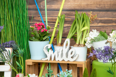 Design of photo zones. Festive spring decor in studio. Greetings and postcards. Spring photo shoot. Provence style.の写真素材