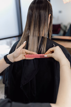 Back view of young woman with long dark hair sitting in salon. Hairstylist cutting tips of hair, holding scissors comb.の写真素材