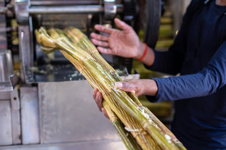 Adult man insert long cane stems into tremendous juice machine in Goa market in India. Human show how drink made.の写真素材