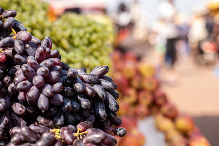Dark purple oblong grapes on sunny Goa street commerce. Sprig of large and sweet variety of berry sold at market.の写真素材