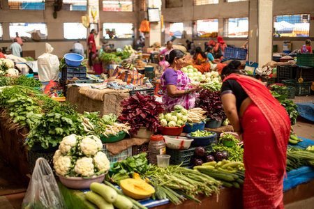 Goa, India, February 2023. Back view of Indian woman vendor in red sari bending over stall, placing green vegetables.のeditorial素材