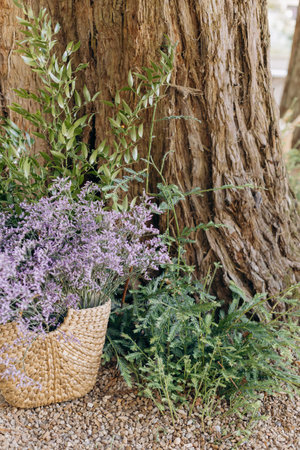 Wicker basket with forest flowers and herbs stands on gravel near trunk of large old tree.の写真素材