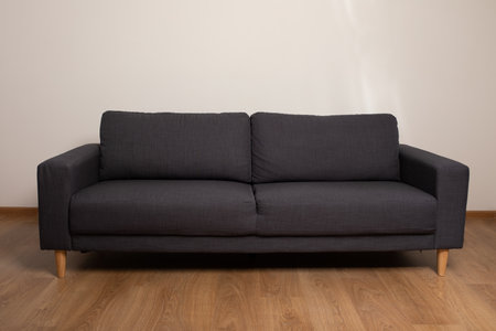 Modern dark grey sofa on light wood floor. Simple, elegant design, perfect for interior design and home decor projects.の写真素材