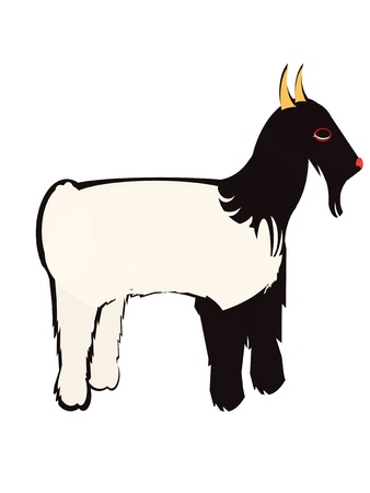 Tibetan goat on a white backgroundのイラスト素材