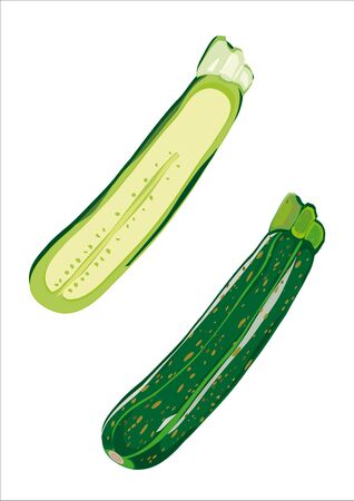 zucchini green and his sation, illustrated and isolated on white backgroundのイラスト素材