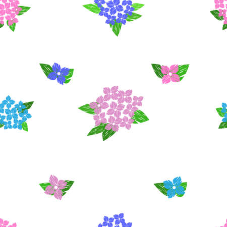 Pattern with colorful hydrangea flowers on white background