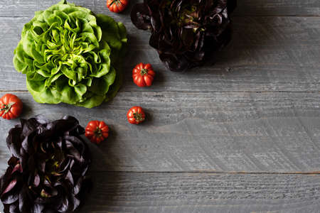 Lettuce dark and green with tomatoes on the grey wooden table. Background with copy saceの写真素材