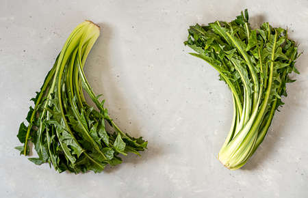 Chicory greens in colander on white wooden table. Top view with copy spaceの写真素材