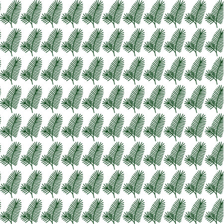 seamless green pine needles pattern white backgroundの写真素材
