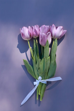 beautiful bouquet of purple tulips on purple background with copy spaceの写真素材