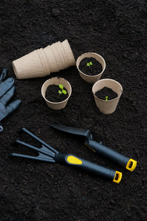 gardening tools and pots with green sprouts on soil texture backgroundの写真素材
