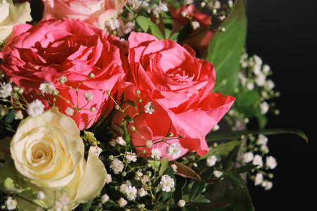 beautiful pink and white roses with greens. Dark background with copy spaceの写真素材