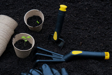 gardening tools and pots with green sprouts on soil texture backgroundの写真素材