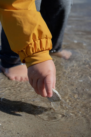 Close up of a hand of boy on the beach picking up a sea shellの写真素材