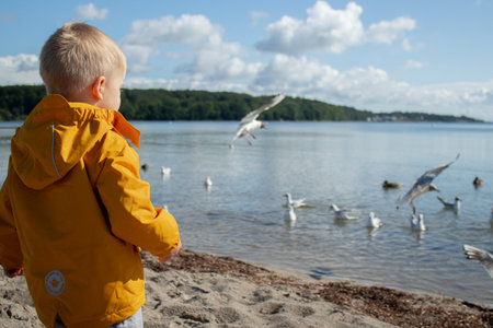 A little toddler boy on the beach watching gull birds in the water, wearing yellow jacket, cloudy weather with sunshineの写真素材