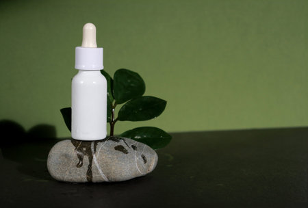 Empty minimal modern product with green leaves, green and yellow backgroundの写真素材