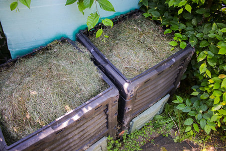 Garden waste compost bin with green mowing grass, outdoors in the garden
