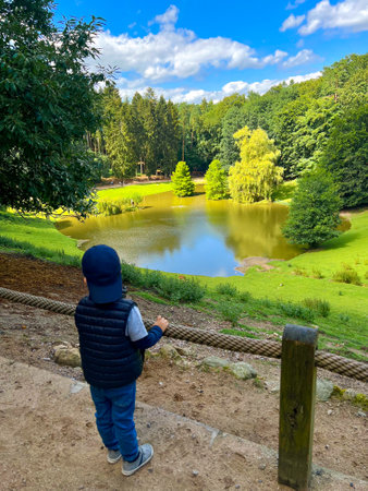 Back view of a toddler boy looking at a lake with green grass meadow and trees around, blue sky with cloudsの写真素材