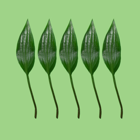 Creative pattern of green leaves on a light green background, Minimalistic conceptual design summer...