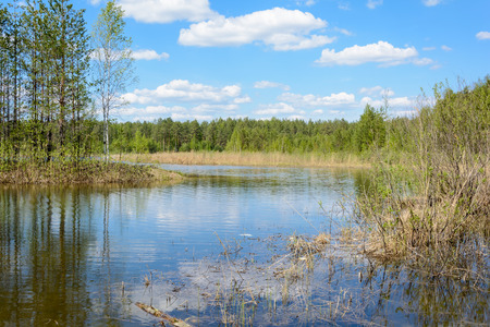 Reflections of the tree in lake