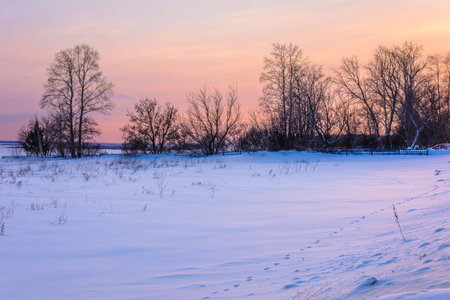 Winter sunset playing in the sky and the field in the snowの写真素材