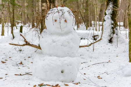 The figure of a snowman stands in a clearing in the forestの写真素材