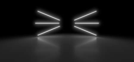 A dark corridor lit by white neon lights. Reflections on the floor and walls. Empty background in the center. 3d rendering image.の写真素材