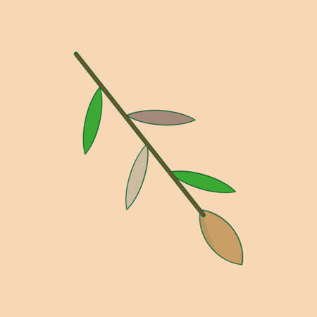 Autumn willow stem. Beige background. Realistic design. Freehand picture. Wood element. Vector illustration. Stock image.のイラスト素材