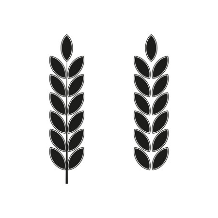 Spikelets icons for packaging design. Agriculture background. Vector illustration.のイラスト素材