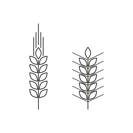 Ear of wheat icon, line sign. Vector illustration. stock image.のイラスト素材