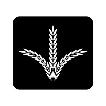 white spikelets black background. Vectorのイラスト素材