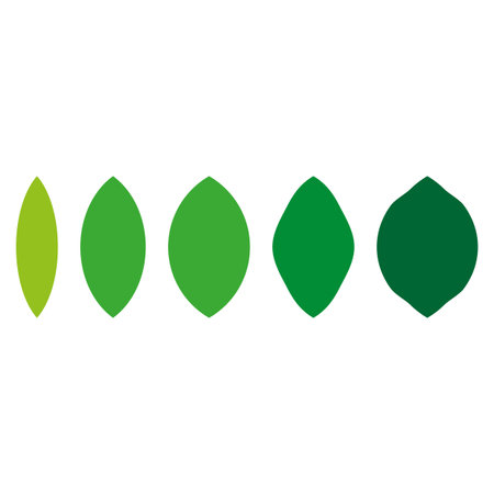 Green leaf shapes. Vector illustration. EPS 10.のイラスト素材