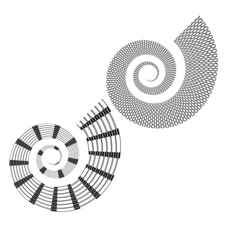 Spiral radial pattern. Abstract circle segments. Optical motion Vector. Black white graphic. EPS 10.のイラスト素材
