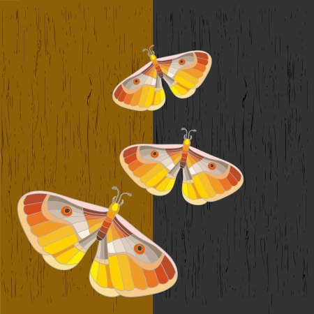 beautiful butterflies at the white blue backgroundのイラスト素材