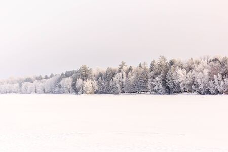 A beautiful scene of the frozen Wisconsin river in January.