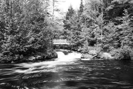 Wausau, Wisconsin, USA, July 1, 2020, Wausau East Riverfront District in downtown Wausau along the Wisconsin River, panoramicの写真素材