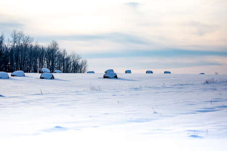 Round hay bales covered with snow in a Wisconsin farm field in Decemberの写真素材