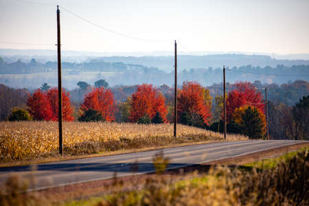 Colorful autumn trees next to a Wisconsin road