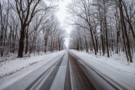 Frost and snow covered road running through a Wausau, Wisconsin forest, horizontal