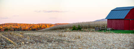 Red barn, cornfield and a Wisconsin forest in autumn, panoramaの写真素材
