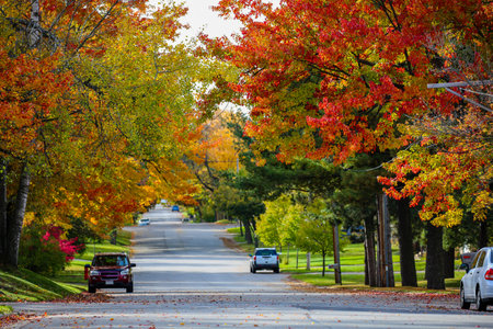 Colorful autumn trees on Stark st in Wausau, Wisconsin, horizontalの写真素材