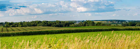 Central Wisconsin farmland in summer, panoramicの写真素材