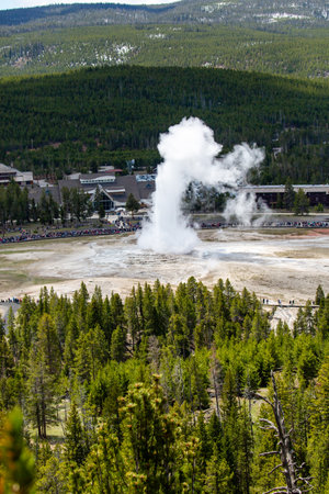 Yellowstone, Wyoming, USA, May, 25, 2021,  tourists in the Upper Geyser Basin watching Old Faithful erupt, verticalのeditorial素材
